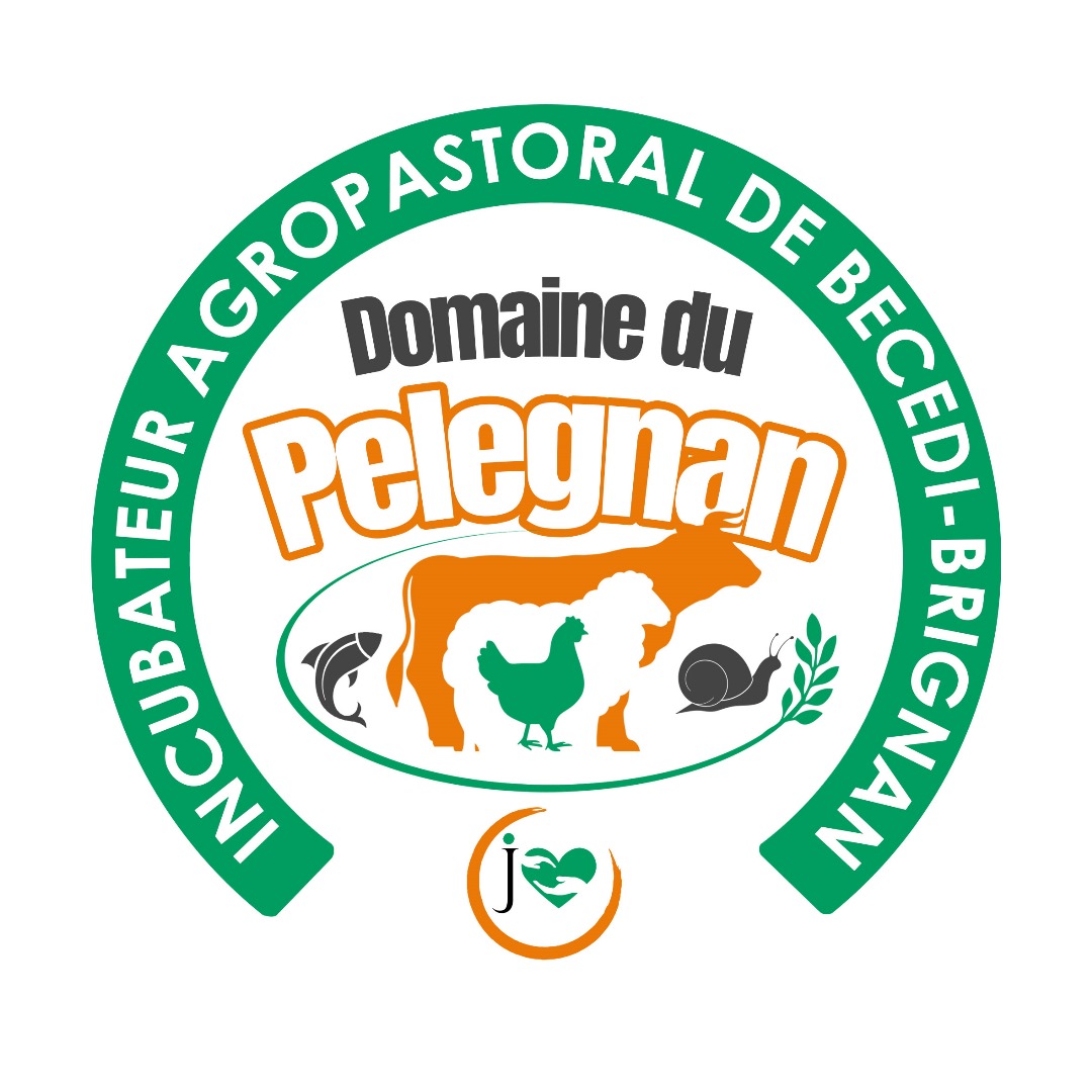 Sceau officiel — Incubateur Agropastoral de Bécédi-Brignan